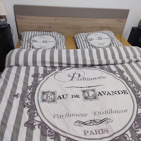 Grand Appartement Chaleureux Mirebeau-sur-Beze Zewnętrze zdjęcie